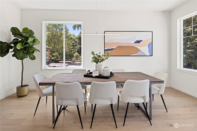 dining area with plenty of natural light and light hardwood / wood-style flooring