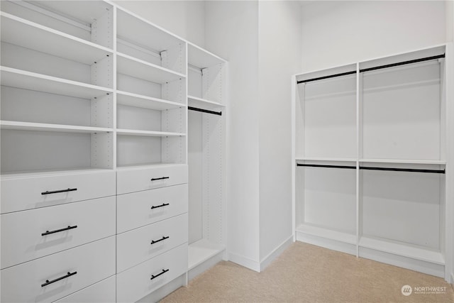 spacious closet with light carpet