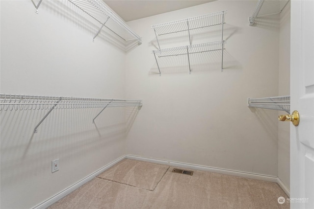 walk in closet featuring carpet flooring