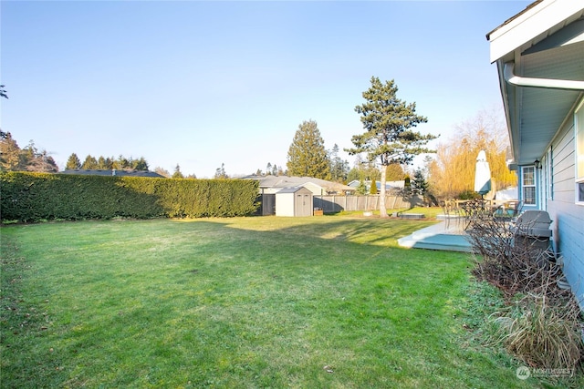 view of yard featuring a patio area and a shed