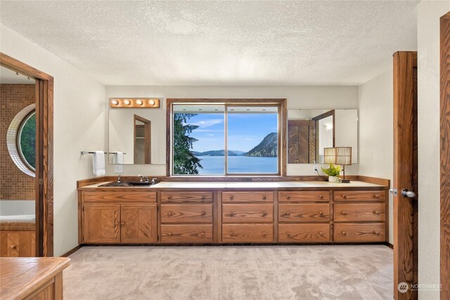 bathroom featuring vanity, a mountain view, and a textured ceiling