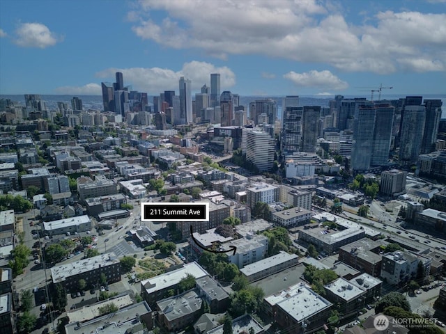 211 Summit Ave E Unit N308, Seattle, WA 98102 - view of city skyline