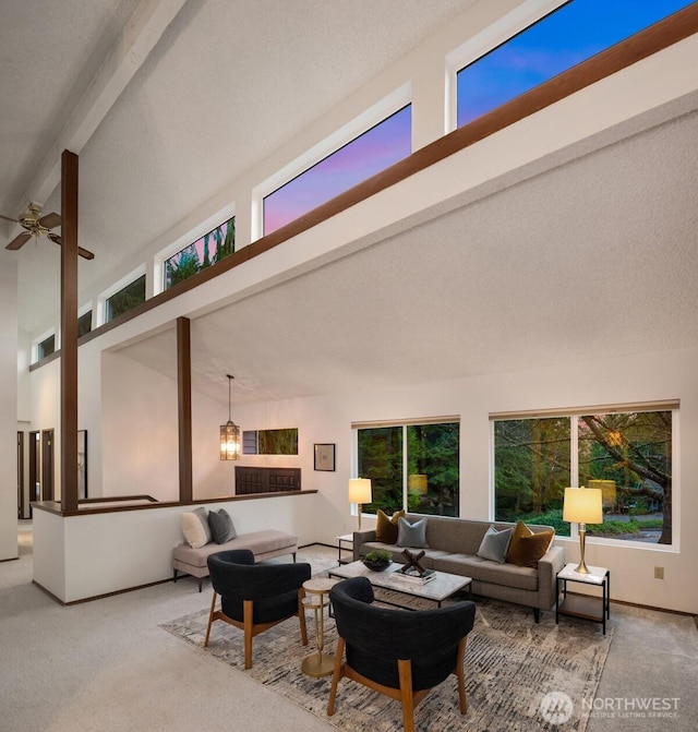 carpeted living room with a towering ceiling and beam ceiling