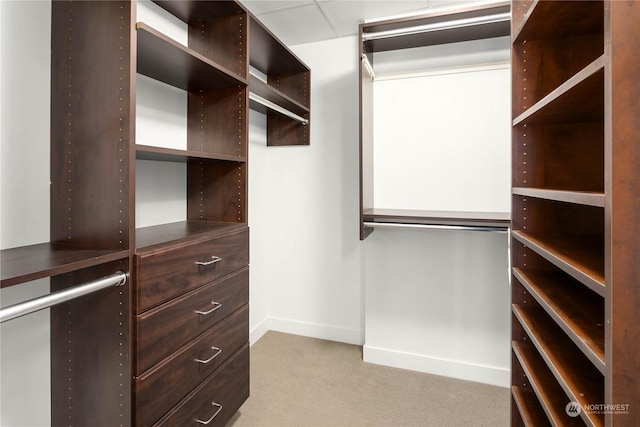 walk in closet with light colored carpet