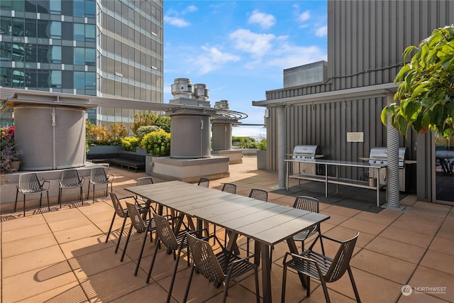 view of patio / terrace with grilling area