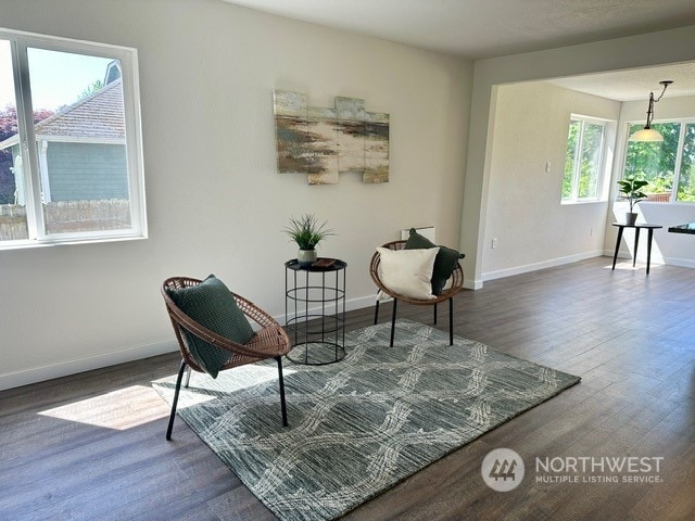 living area with hardwood / wood-style flooring