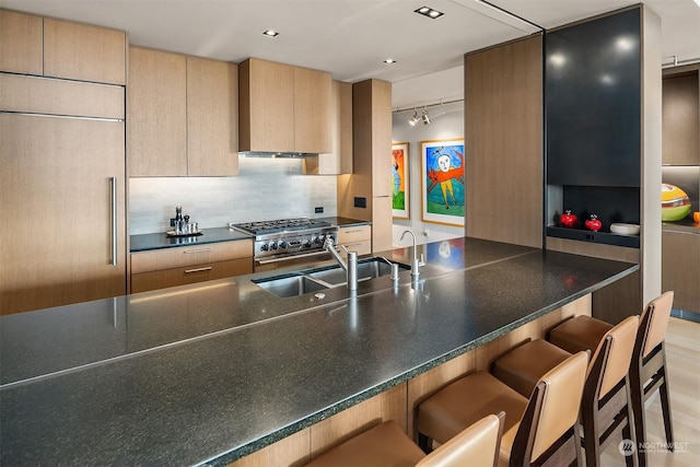 kitchen with sink, range, paneled built in refrigerator, light brown cabinets, and backsplash