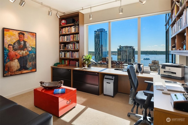 office with light carpet and rail lighting