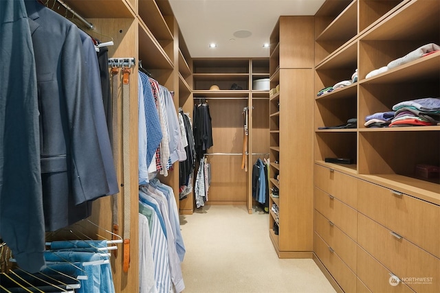 spacious closet with light colored carpet