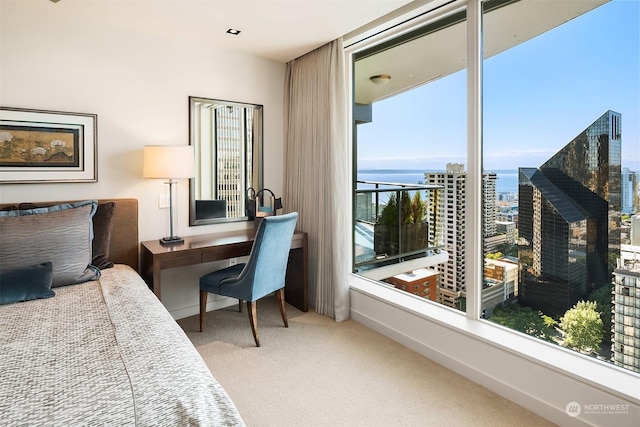 view of carpeted bedroom