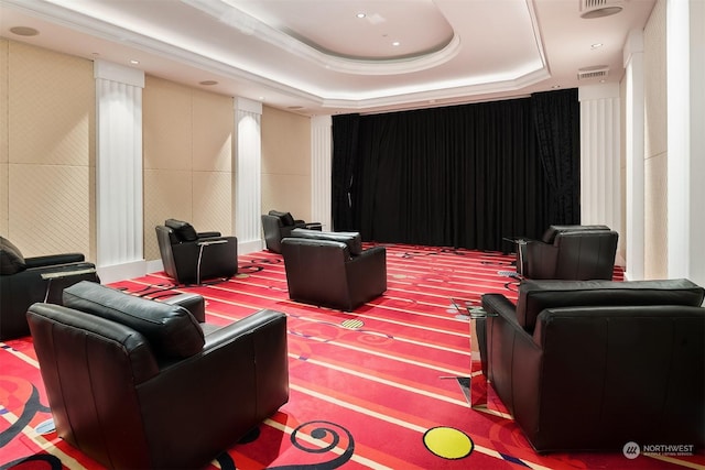 cinema room with a tray ceiling