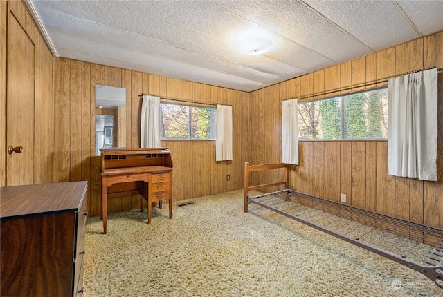 interior space with wooden walls, light colored carpet, and a textured ceiling