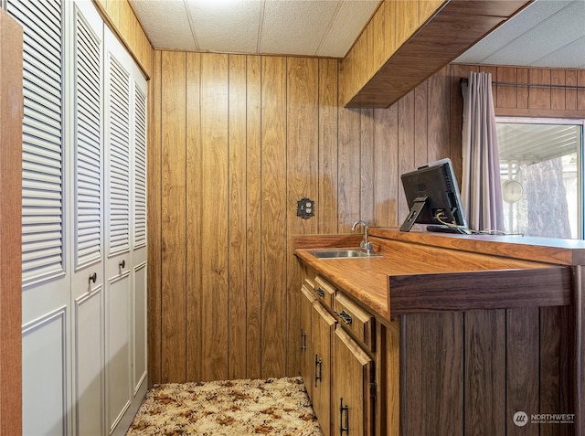 interior space featuring sink and wood walls