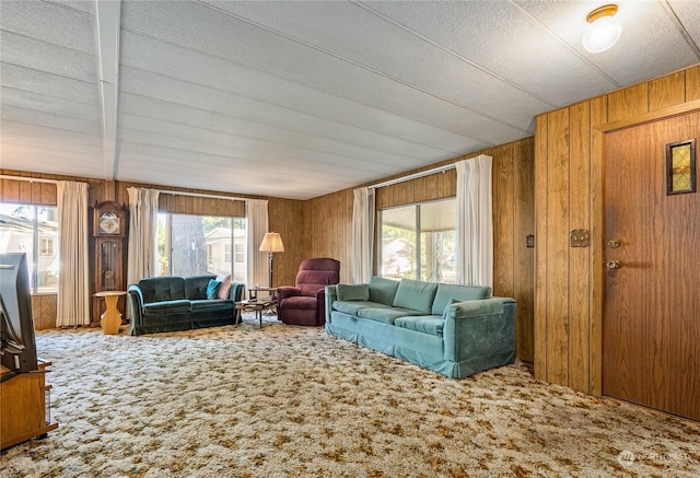 living room with carpet floors and wood walls