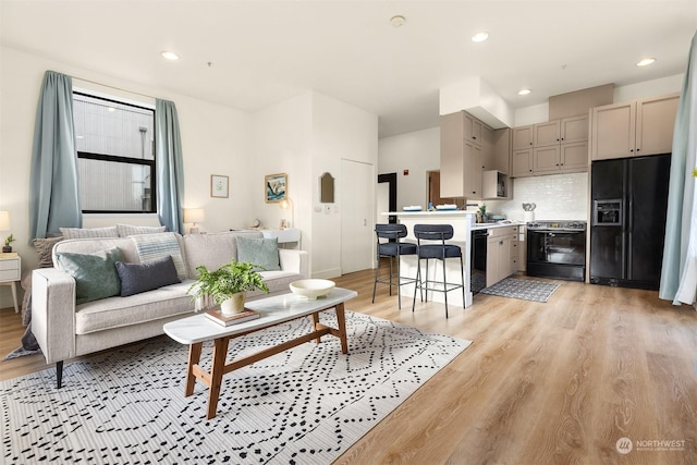 living room featuring light hardwood / wood-style floors