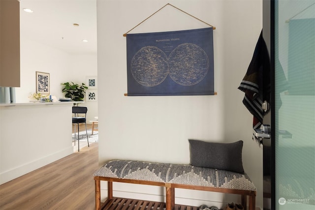 interior space with hardwood / wood-style floors