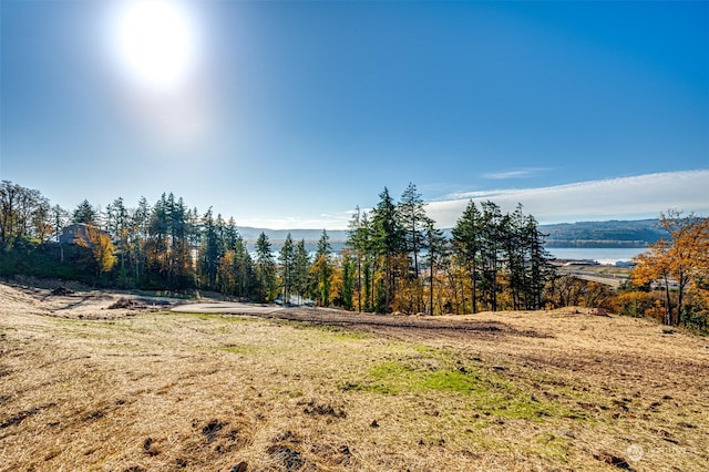 0 Spencer Creek Rd Lot 4, Kalama WA, 98625 land for sale