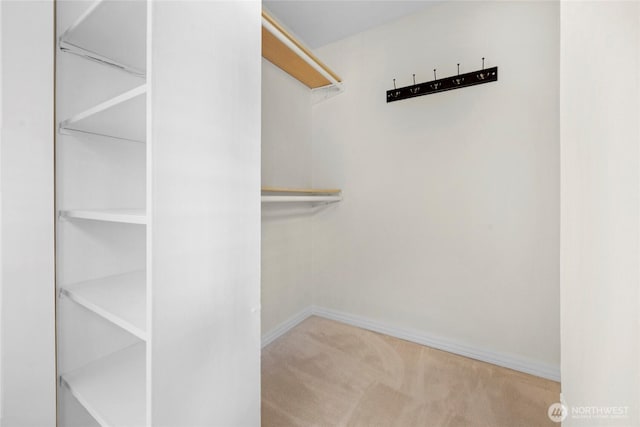 walk in closet featuring light colored carpet