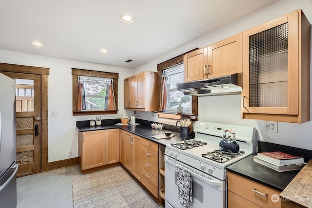 kitchen featuring white gas stove and stainless steel refrigerator