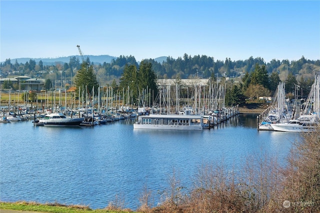 property view of water with a boat dock