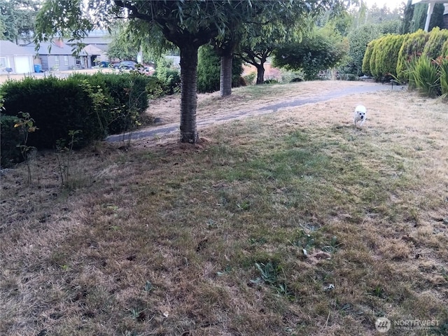 522 NE 127th St, Seattle, WA 98125 - photo 12
