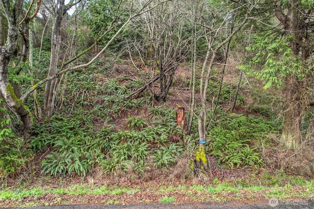 14544 Jura Way, Anacortes, WA 98221