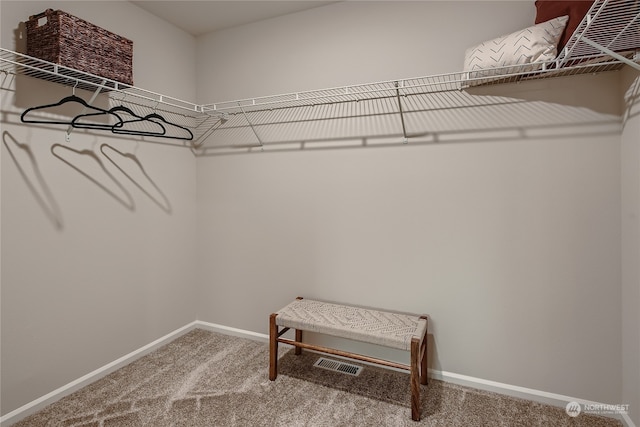 walk in closet with carpet