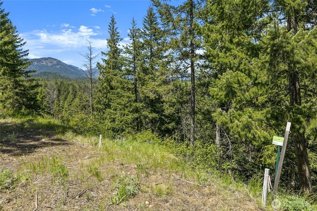 45 Gold Leaf Ln, Cle Elum, WA 98940
