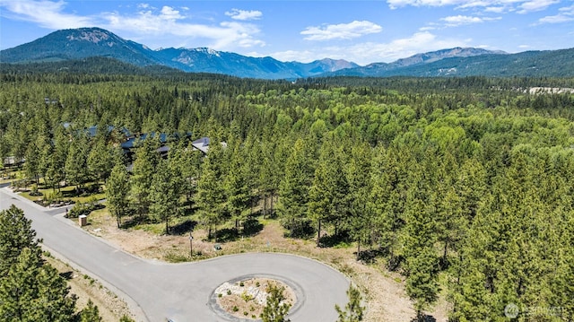 45 Gold Leaf Ln, Cle Elum, WA 98940