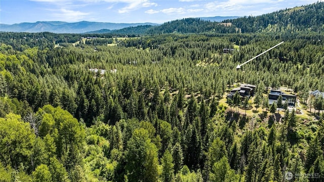 45 Gold Leaf Ln, Cle Elum, WA 98940 - photo 1
