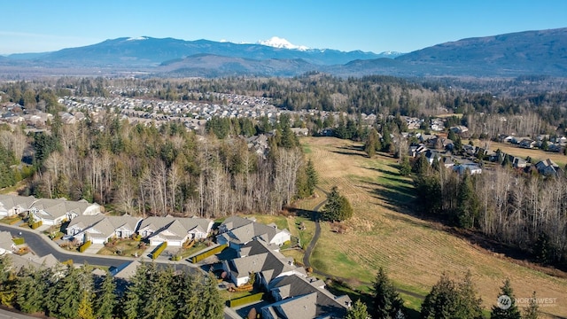 drone / aerial view with a mountain view