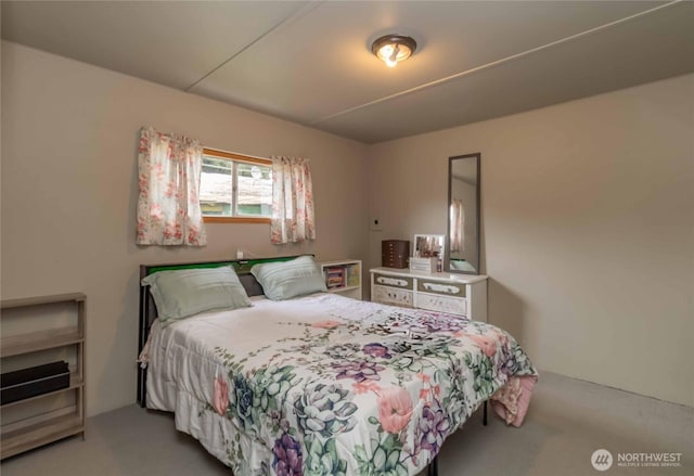bedroom featuring carpet