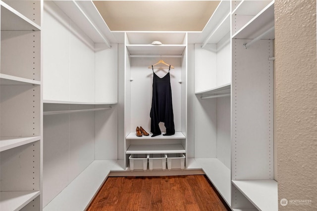 walk in closet featuring dark hardwood / wood-style floors