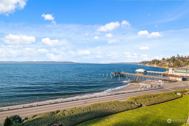 view of water feature featuring a dock