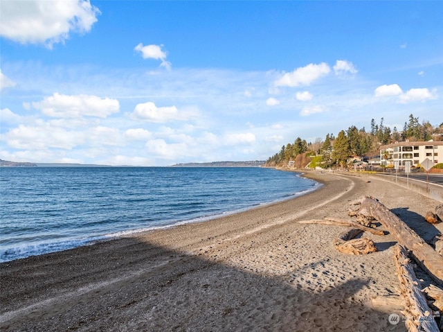 view of water feature featuring a beach view