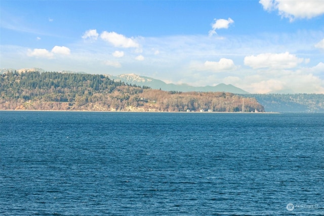 view of water feature featuring a mountain view