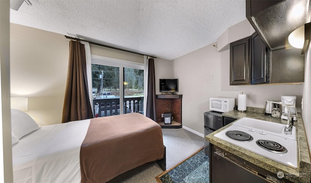 interior space with access to exterior, sink, and a textured ceiling