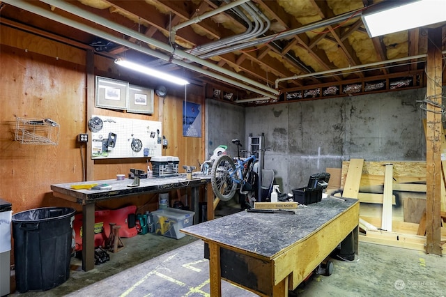 basement featuring a workshop area