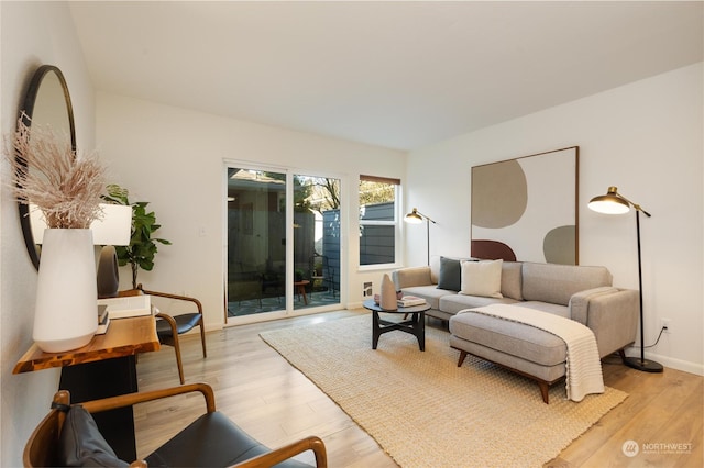 living room with light hardwood / wood-style flooring