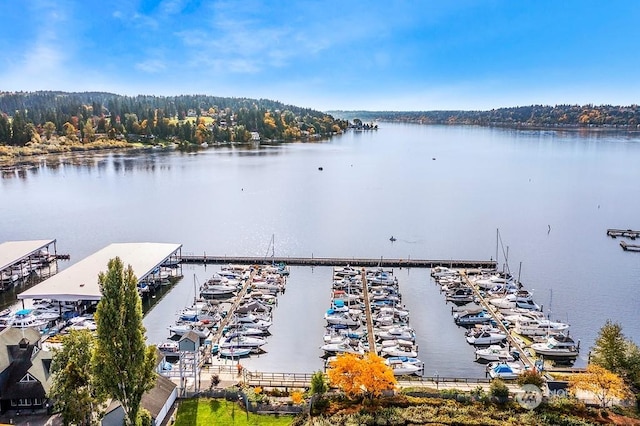 birds eye view of property with a water view