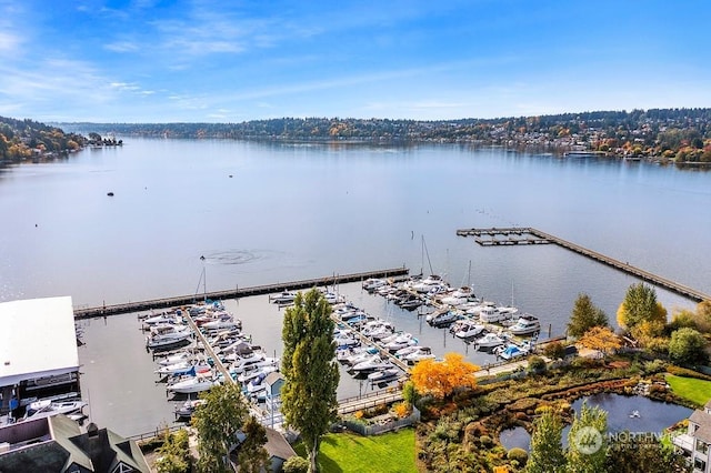 birds eye view of property featuring a water view