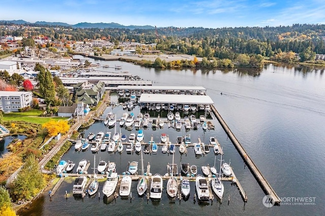 drone / aerial view with a water and mountain view