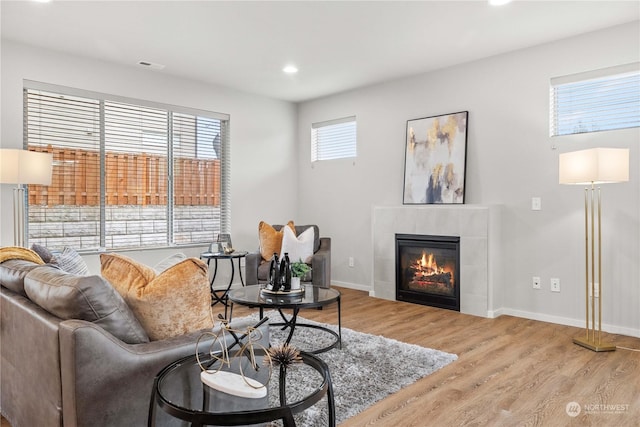 living room featuring a fireplace and light hardwood / wood-style floors