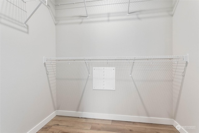 walk in closet featuring hardwood / wood-style floors