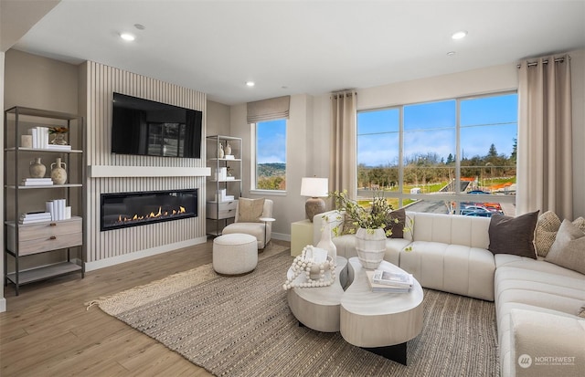 living room featuring a large fireplace and hardwood / wood-style floors