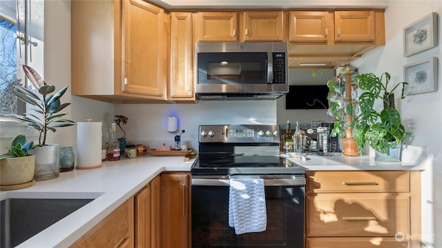 kitchen featuring range with electric cooktop