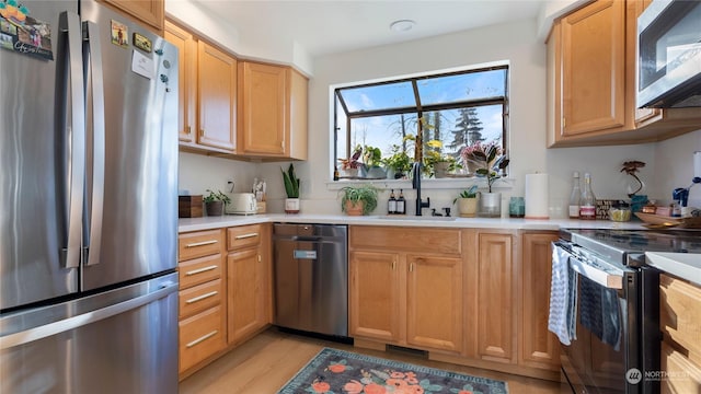 kitchen with sink, light hardwood / wood-style floors, and appliances with stainless steel finishes