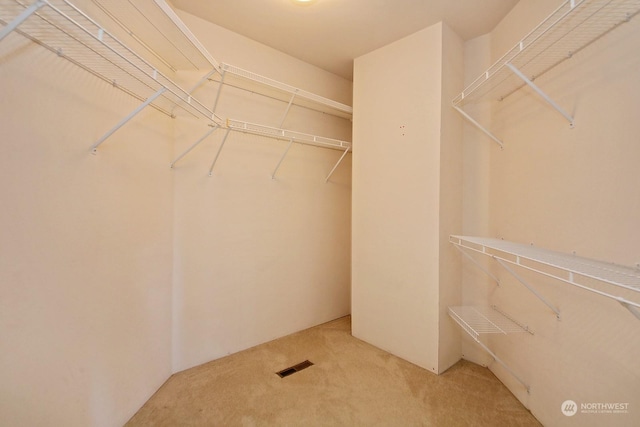 spacious closet with carpet