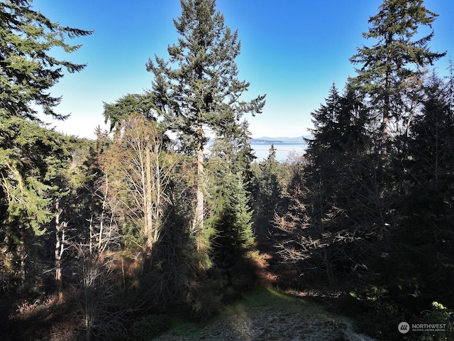 view of local wilderness with a water view