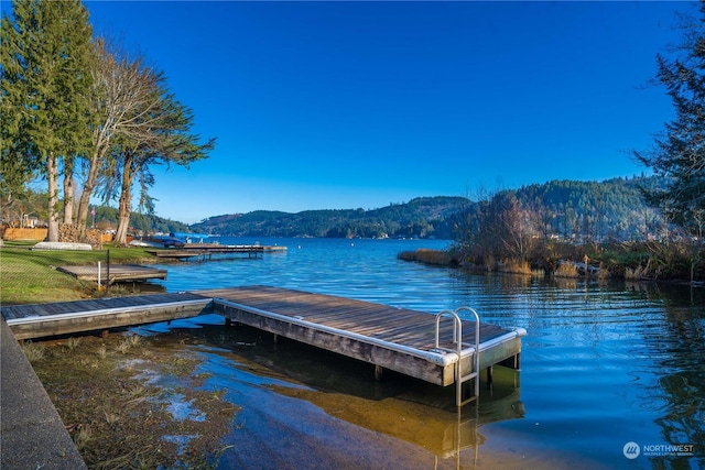 dock area with a water and mountain view